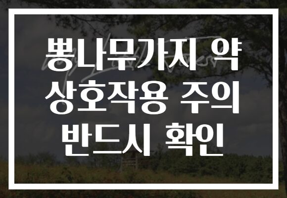뽕나무가지 약 상호작용 주의 반드시 확인
