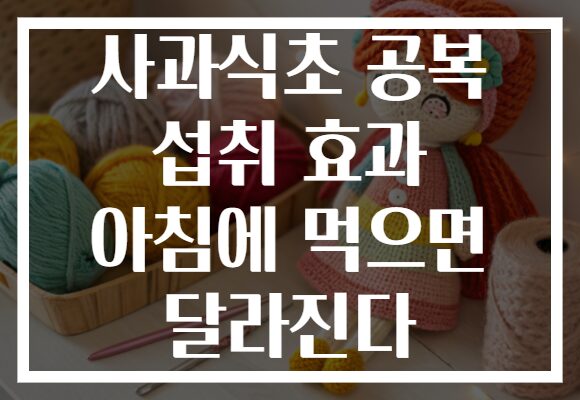 사과식초 공복 섭취 효과 아침에 먹으면 달라진다