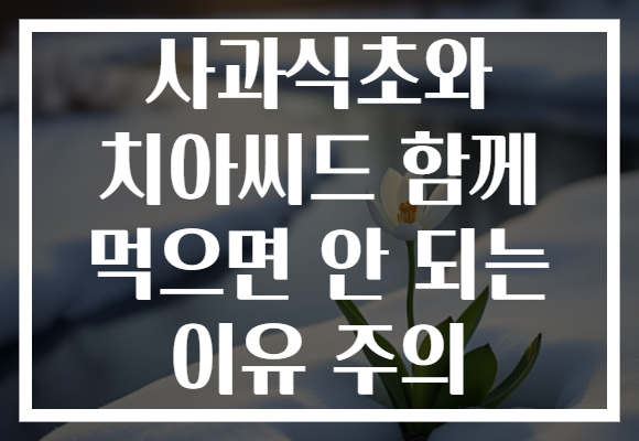 사과식초와 치아씨드 함께 먹으면 안 되는 이유 주의