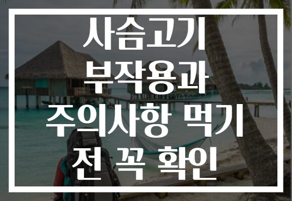 사슴고기 부작용과 주의사항 먹기 전 꼭 확인