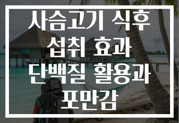 사슴고기 식후 섭취 효과 단백질 활용과 포만감