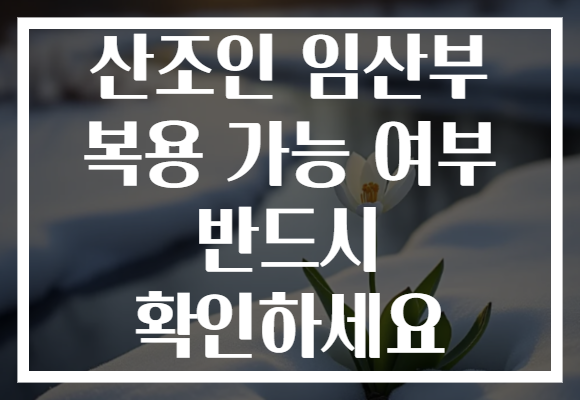 산조인 임산부 복용 가능 여부 반드시 확인하세요