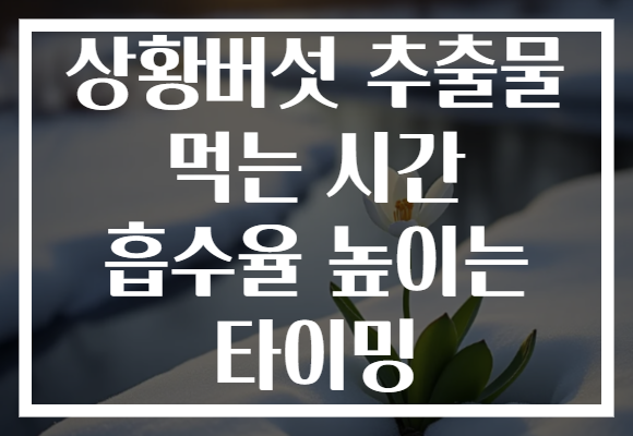 상황버섯 추출물 먹는 시간 흡수율 높이는 타이밍