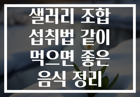 샐러리 조합 섭취법 같이 먹으면 좋은 음식 정리