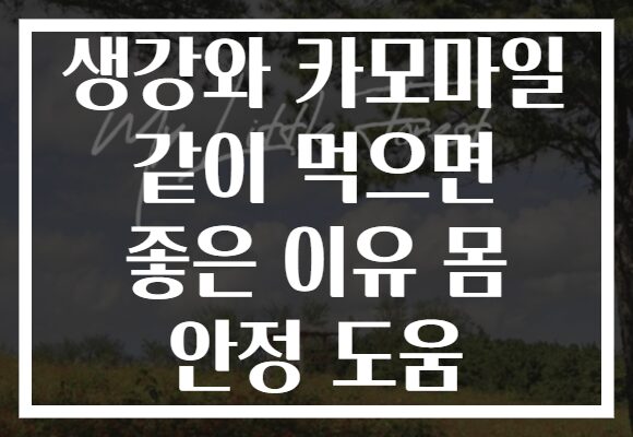 생강와 카모마일 같이 먹으면 좋은 이유 몸 안정 도움