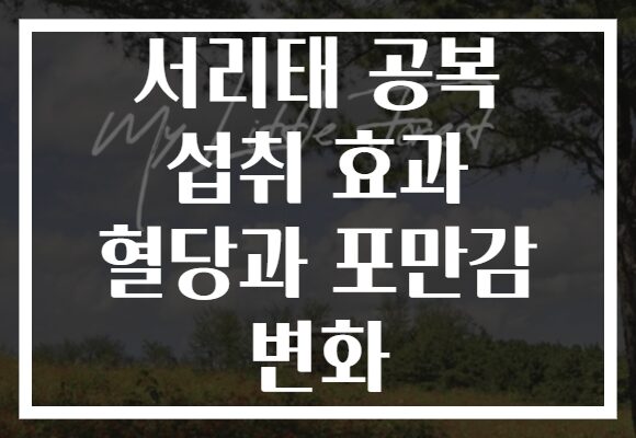 서리태 공복 섭취 효과 혈당과 포만감 변화