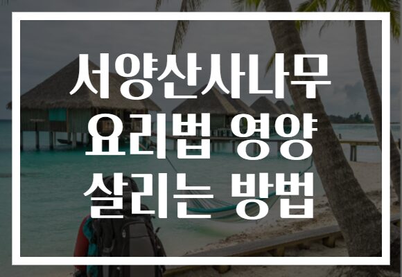 서양산사나무 요리법 영양 살리는 방법