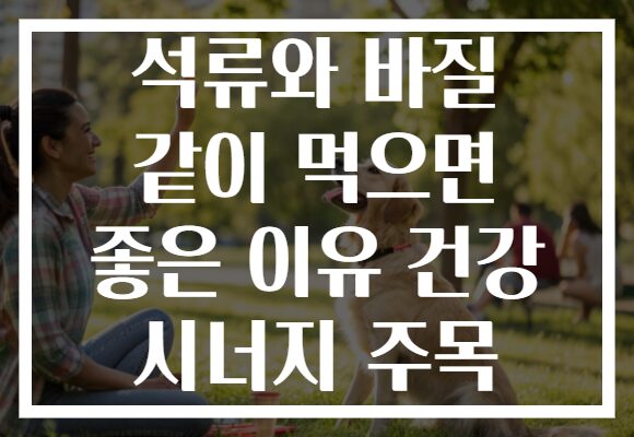 석류와 바질 같이 먹으면 좋은 이유 건강 시너지 주목