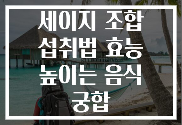세이지 조합 섭취법 효능 높이는 음식 궁합