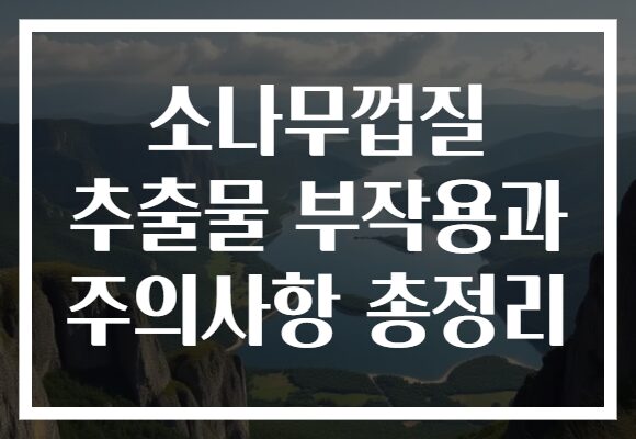 소나무껍질 추출물 부작용과 주의사항 총정리