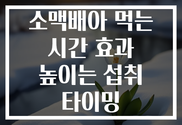 소맥배아 먹는 시간 효과 높이는 섭취 타이밍