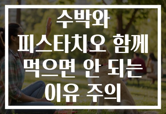 수박와 피스타치오 함께 먹으면 안 되는 이유 주의