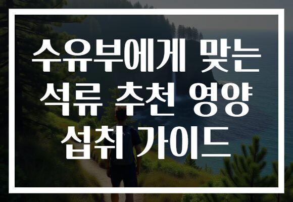 수유부에게 맞는 석류 추천 영양 섭취 가이드