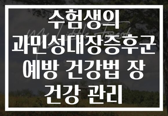 수험생의 과민성대장증후군 예방 건강법 장 건강 관리