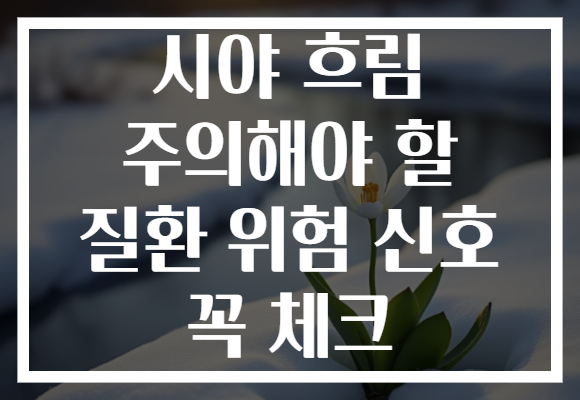 시야 흐림 주의해야 할 질환 위험 신호 꼭 체크