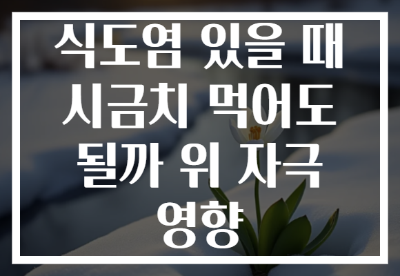 식도염 있을 때 시금치 먹어도 될까 위 자극 영향