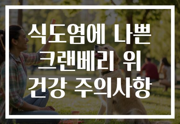 식도염에 나쁜 크랜베리 위 건강 주의사항