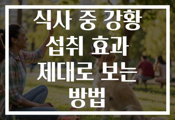 식사 중 강황 섭취 효과 제대로 보는 방법
