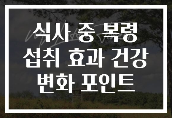 식사 중 복령 섭취 효과 건강 변화 포인트