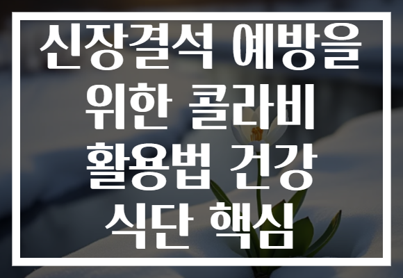 신장결석 예방을 위한 콜라비 활용법 건강 식단 핵심