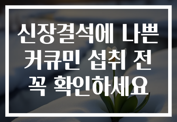 신장결석에 나쁜 커큐민 섭취 전 꼭 확인하세요
