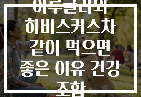 아루굴라와 히비스커스차 같이 먹으면 좋은 이유 건강 조합
