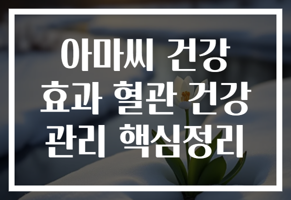 아마씨 건강 효과 혈관 건강 관리 핵심정리