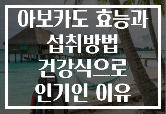 아보카도 효능과 섭취방법 건강식으로 인기인 이유