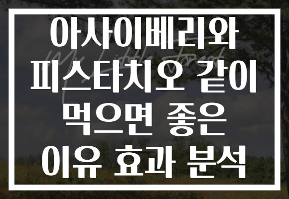 아사이베리와 피스타치오 같이 먹으면 좋은 이유 효과 분석