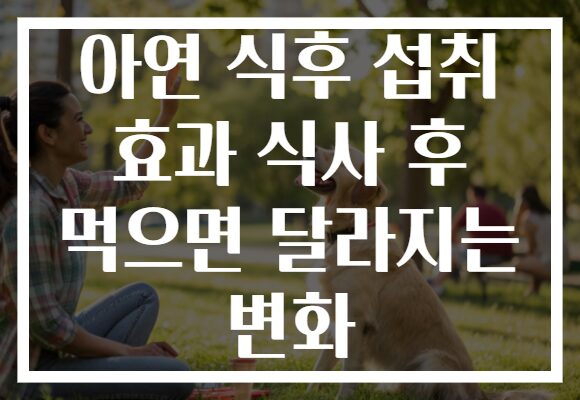 아연 식후 섭취 효과 식사 후 먹으면 달라지는 변화