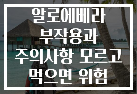 알로에베라 부작용과 주의사항 모르고 먹으면 위험