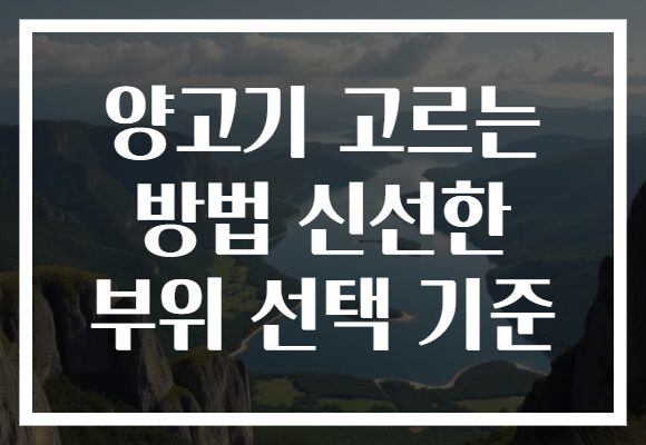 양고기 고르는 방법 신선한 부위 선택 기준