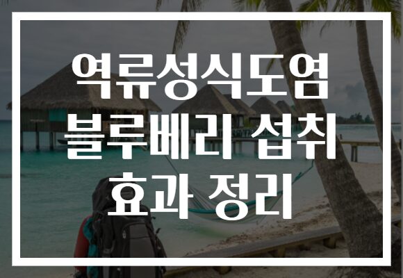 역류성식도염 블루베리 섭취 효과 정리