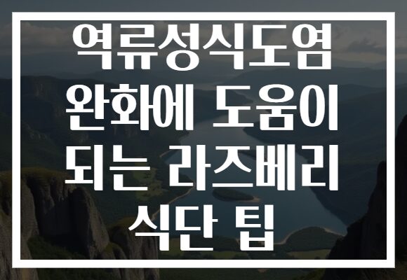 역류성식도염 완화에 도움이 되는 라즈베리 식단 팁
