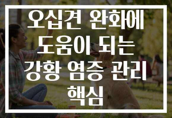 오십견 완화에 도움이 되는 강황 염증 관리 핵심
