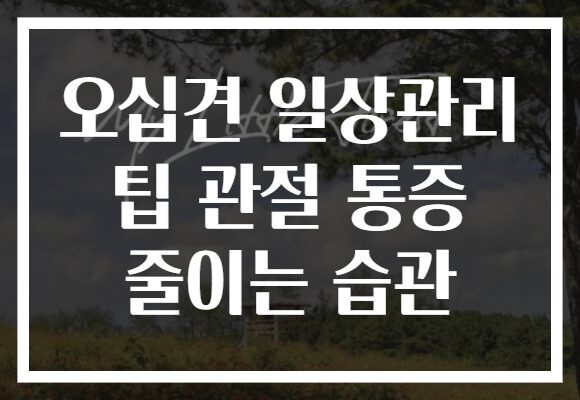 오십견 일상관리 팁 관절 통증 줄이는 습관
