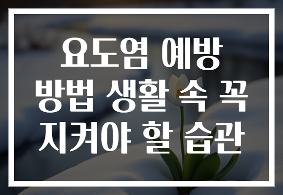 요도염 예방 방법 생활 속 꼭 지켜야 할 습관