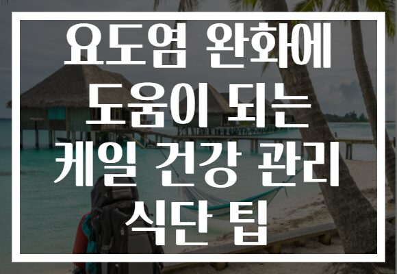 요도염 완화에 도움이 되는 케일 건강 관리 식단 팁