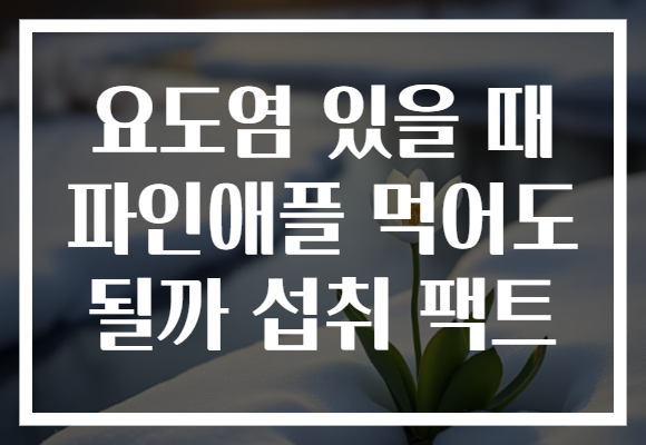 요도염 있을 때 파인애플 먹어도 될까 섭취 팩트