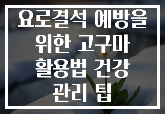 요로결석 예방을 위한 고구마 활용법 건강 관리 팁