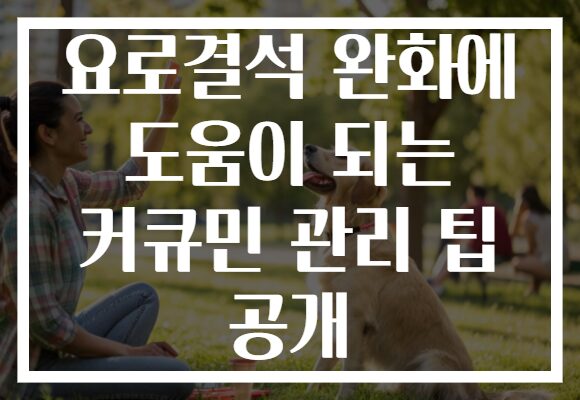 요로결석 완화에 도움이 되는 커큐민 관리 팁 공개