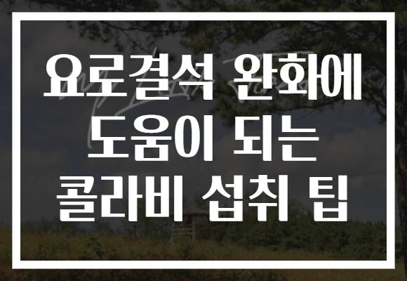 요로결석 완화에 도움이 되는 콜라비 섭취 팁