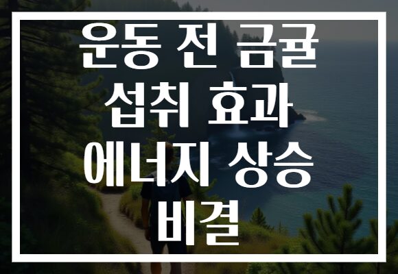 운동 전 금귤 섭취 효과 에너지 상승 비결