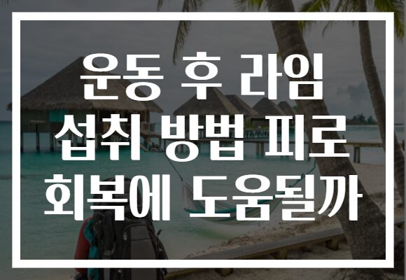 운동 후 라임 섭취 방법 피로 회복에 도움될까