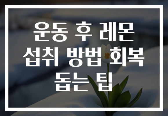 운동 후 레몬 섭취 방법 회복 돕는 팁