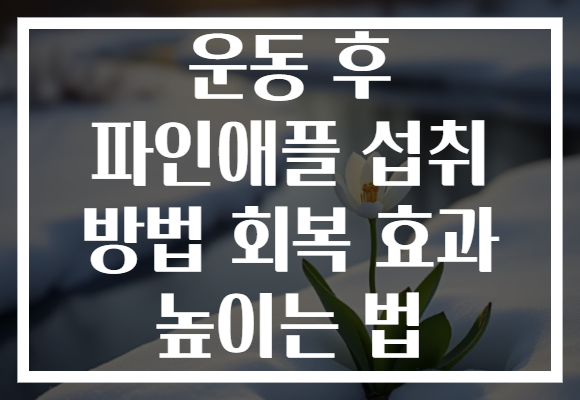 운동 후 파인애플 섭취 방법 회복 효과 높이는 법