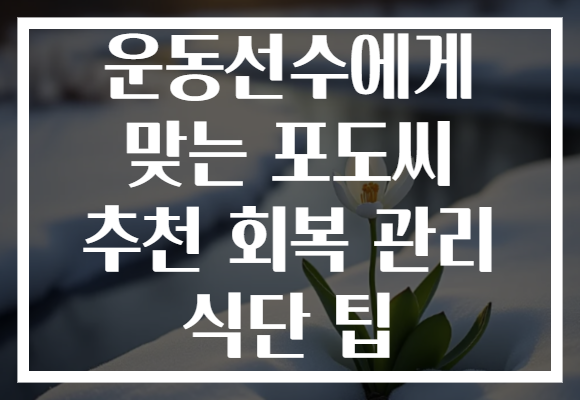 운동선수에게 맞는 포도씨 추천 회복 관리 식단 팁