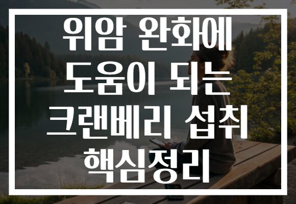 위암 완화에 도움이 되는 크랜베리 섭취 핵심정리