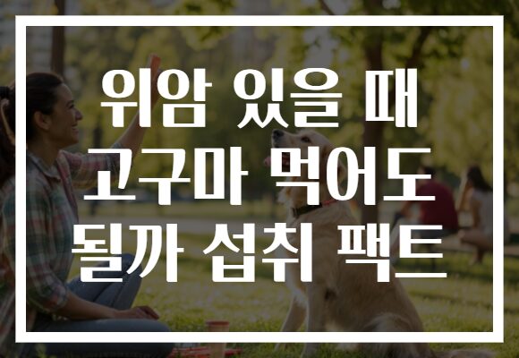 위암 있을 때 고구마 먹어도 될까 섭취 팩트