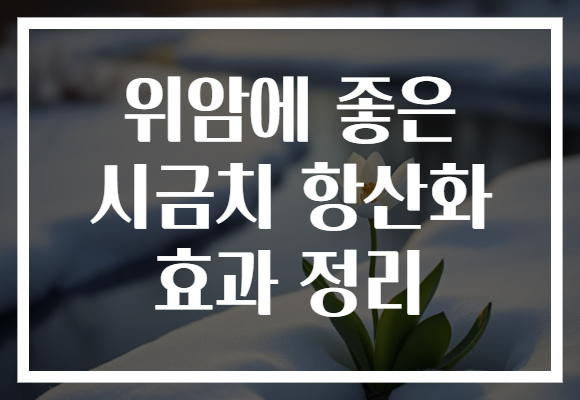 위암에 좋은 시금치 항산화 효과 정리